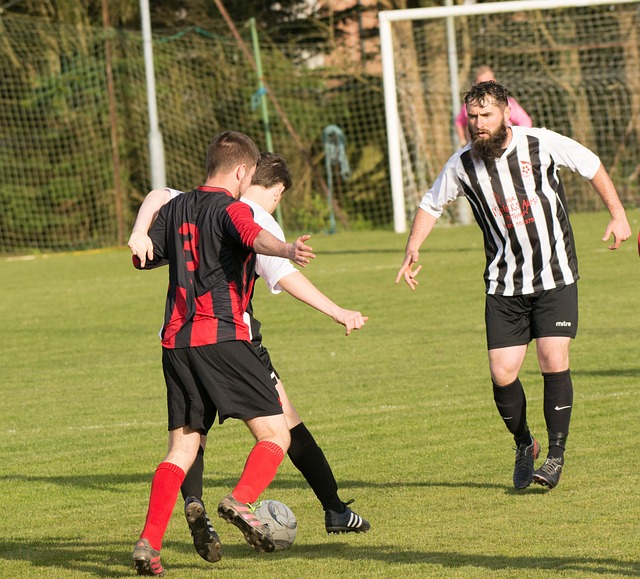 他们的体重 他们的体重