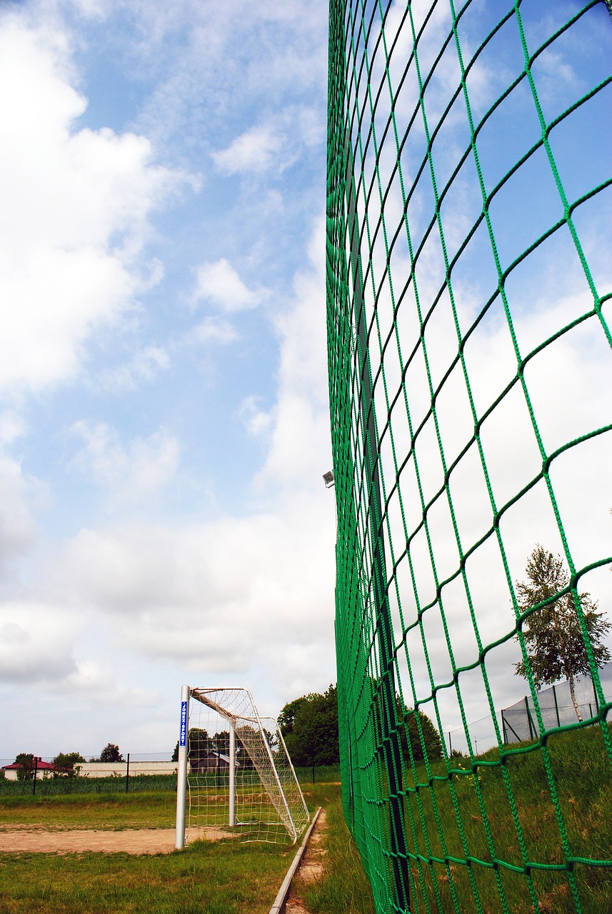 接发球都经 接发球都经