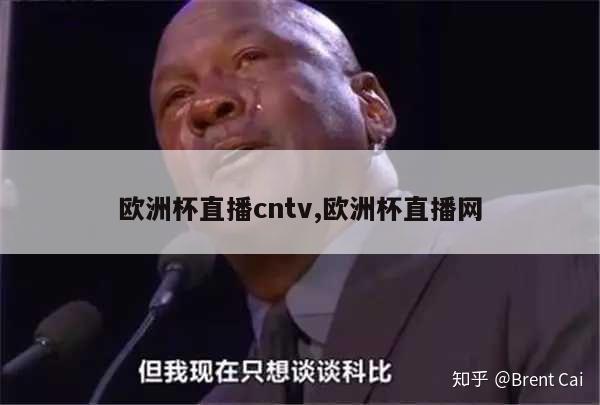 欧洲杯直播cntv,欧洲杯直播网