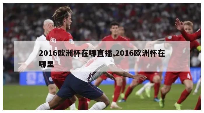 2016欧洲杯在哪直播,2016欧洲杯在哪里